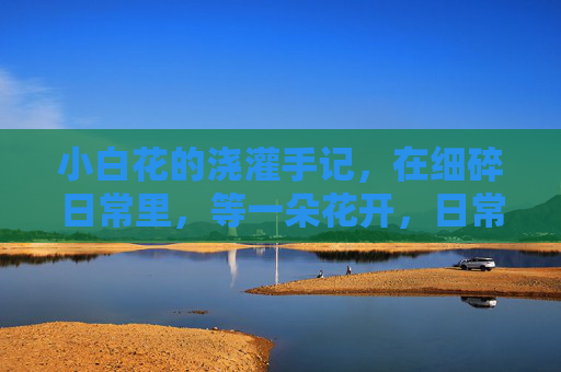 小白花的浇灌手记,在细碎日常里,等一朵花开,日常浇灌,静待花开 小白花的浇灌手记,在细碎日常里,等一朵花开,日常浇灌,静待花开