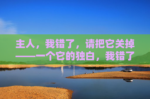 主人，我错了，请把它关掉——一个它的独白，我错了，请关掉——它的独白