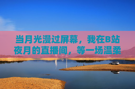 当月光漫过屏幕,我在B站夜月的直播间,等一场温柔的救赎,月光漫过屏幕,等一场温柔的救赎 当月光漫过屏幕,我在B站夜月的直播间,等一场温柔的救赎,月光漫过屏幕,等一场温柔的救赎