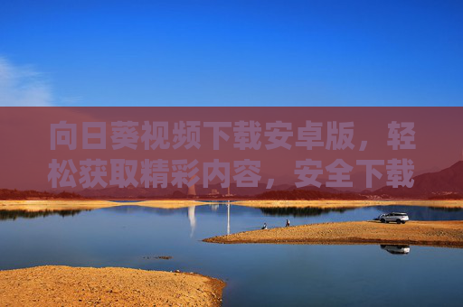 向日葵视频下载安卓版，轻松获取精彩内容，安全下载指南，向日葵视频安卓版，安全下载指南，轻松获取精彩内容