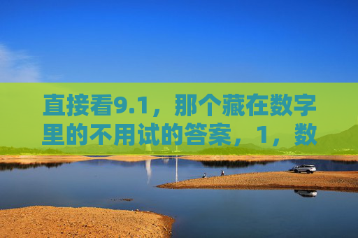直接看9.1，那个藏在数字里的不用试的答案，1，数字里的不用试答案