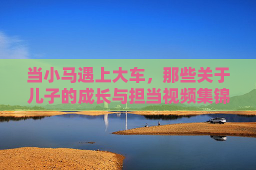当小马遇上大车,那些关于儿子的成长与担当视频集锦,当小马遇上大车,儿子的成长与担当集锦 当小马遇上大车,那些关于儿子的成长与担当视频集锦,当小马遇上大车,儿子的成长与担当集锦