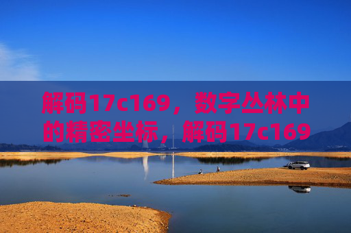 解码17c169,数字丛林中的精密坐标,解码17c169,数字丛林中的精密坐标 解码17c169,数字丛林中的精密坐标,解码17c169,数字丛林中的精密坐标