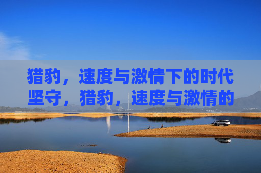 猎豹,速度与激情下的时代坚守,猎豹,速度与激情的时代坚守 猎豹,速度与激情下的时代坚守,猎豹,速度与激情的时代坚守