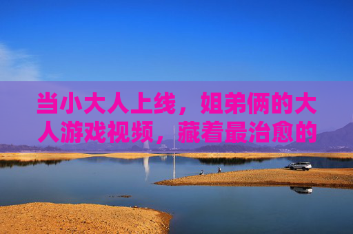 当小大人上线，姐弟俩的大人游戏视频，藏着最治愈的童年模样，小大人上线！姐弟的大人游戏，藏着治愈童年模样