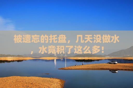 被遗忘的托盘,几天没做水,水竟积了这么多! 被遗忘的托盘,几天没做水,水竟积了这么多!