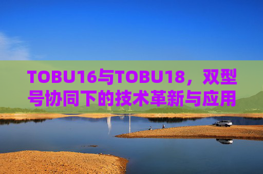 TOBU16与TOBU18,双型号协同下的技术革新与应用突破,TOBU16与TOBU18双型号协同下的技术革新与应用突破 TOBU16与TOBU18,双型号协同下的技术革新与应用突破,TOBU16与TOBU18双型号协同下的技术革新与应用突破