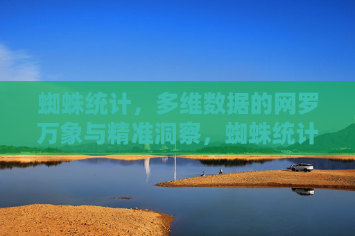 蜘蛛统计,多维数据的网罗万象与精准洞察,蜘蛛统计,多维数据网罗万象,洞察精准 蜘蛛统计,多维数据的网罗万象与精准洞察,蜘蛛统计,多维数据网罗万象,洞察精准