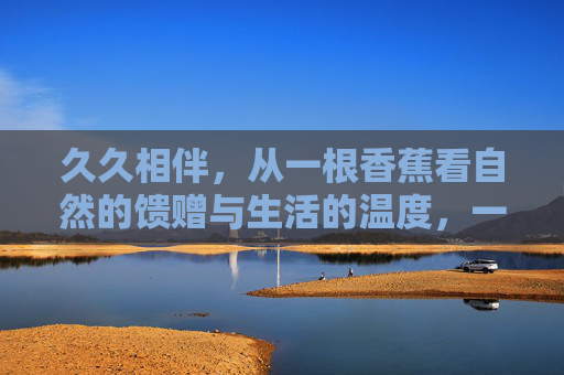 久久相伴,从一根香蕉看自然的馈赠与生活的温度,一根香蕉的久久相伴,自然的馈赠与生活温度 久久相伴,从一根香蕉看自然的馈赠与生活的温度,一根香蕉的久久相伴,自然的馈赠与生活温度