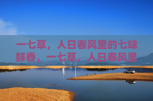 一七草，人日春风里的七味鲜香，一七草，人日春风里的七味鲜香