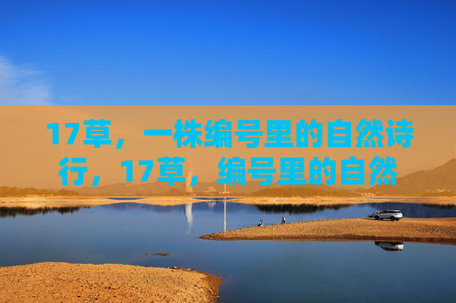17草,一株编号里的自然诗行,17草,编号里的自然诗行 17草,一株编号里的自然诗行,17草,编号里的自然诗行