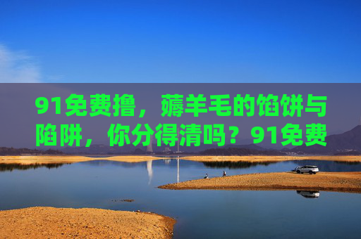 91免费撸，薅羊毛的馅饼与陷阱，你分得清吗？91免费撸，薅羊毛的馅饼与陷阱，你分得清吗？