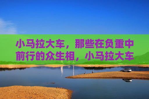 小马拉大车,那些在负重中前行的众生相,小马拉大车,负重前行的众生相 小马拉大车,那些在负重中前行的众生相,小马拉大车,负重前行的众生相
