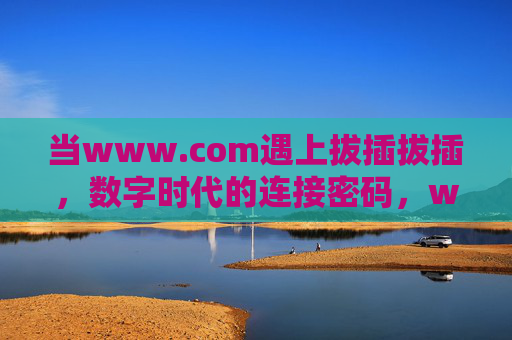 当www.com遇上拔插拔插,数字时代的连接密码,www.com遇上拔插拔插,数字时代的连接密码 当www.com遇上拔插拔插,数字时代的连接密码,www.com遇上拔插拔插,数字时代的连接密码