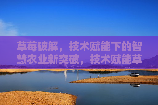 草莓破解,技术赋能下的智慧农业新突破,技术赋能草莓种植,智慧农业新突破 草莓破解,技术赋能下的智慧农业新突破,技术赋能草莓种植,智慧农业新突破
