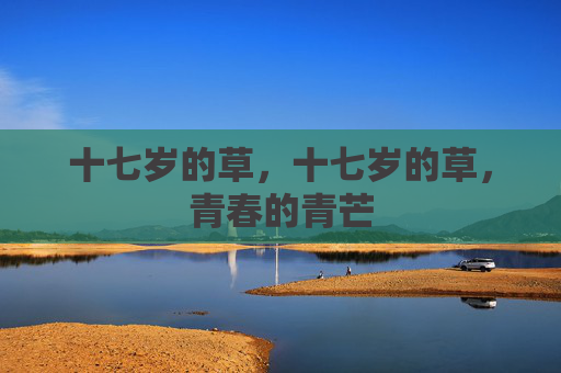 十七岁的草,十七岁的草,青春的青芒 十七岁的草,十七岁的草,青春的青芒