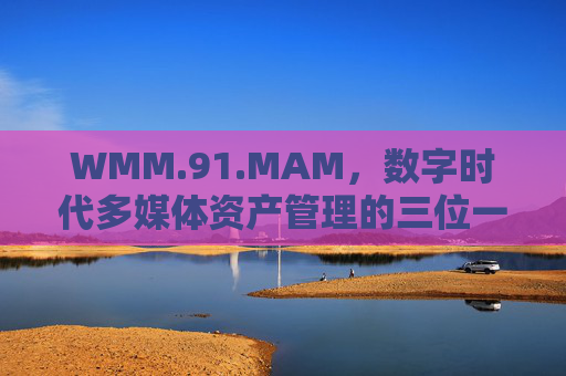 WMM.91.MAM,数字时代多媒体资产管理的三位一体革新,WMM.91.MAM,数字时代多媒体资产管理的三位一体革新 WMM.91.MAM,数字时代多媒体资产管理的三位一体革新,WMM.91.MAM,数字时代多媒体资产管理的三位一体革新