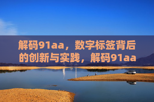 解码91aa，数字标签背后的创新与实践，解码91aa，数字标签的创新与实践