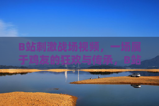 B站刺激战场视频，一场属于鸡友的狂欢与传承，B站刺激战场，鸡友的狂欢与传承