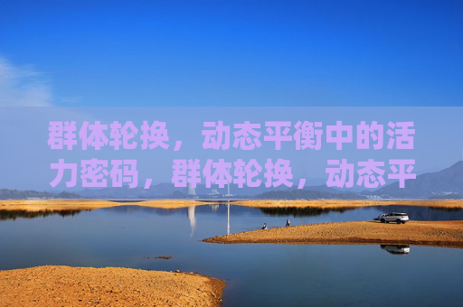 群体轮换,动态平衡中的活力密码,群体轮换,动态平衡的活力密码 群体轮换,动态平衡中的活力密码,群体轮换,动态平衡的活力密码