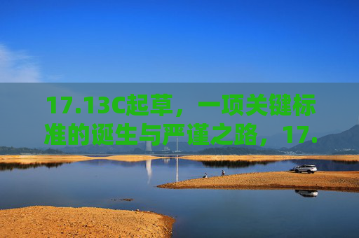 17.13C起草，一项关键标准的诞生与严谨之路，17.13C起草，关键标准的诞生与严谨之路