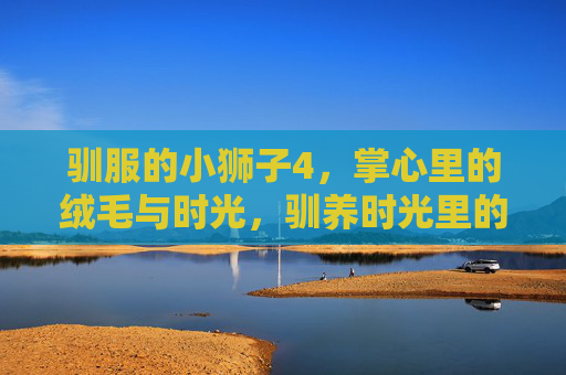 驯服的小狮子4，掌心里的绒毛与时光，驯养时光里的掌心绒毛
