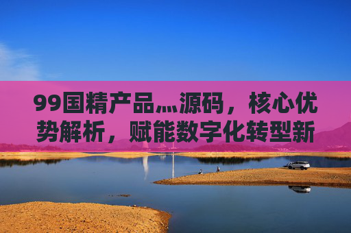 99国精产品灬源码，核心优势解析，赋能数字化转型新引擎，99国精产品源码核心优势解析，赋能数字化转型新引擎