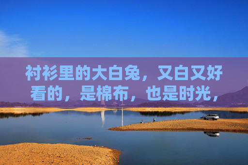 衬衫里的大白兔,又白又好看的,是棉布,也是时光,衬衫里的大白兔,又白又好的棉布时光 衬衫里的大白兔,又白又好看的,是棉布,也是时光,衬衫里的大白兔,又白又好的棉布时光