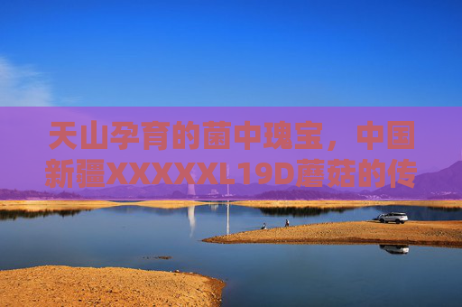 天山孕育的菌中瑰宝,中国新疆XXXXXL19D蘑菇的传奇与价值,天山菌中瑰宝,新疆XXXXXL19D蘑菇的传奇与价值 天山孕育的菌中瑰宝,中国新疆XXXXXL19D蘑菇的传奇与价值,天山菌中瑰宝,新疆XXXXXL19D蘑菇的传奇与价值