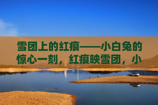 雪团上的红痕——小白兔的惊心一刻,红痕映雪团,小白兔惊心一刻 雪团上的红痕——小白兔的惊心一刻,红痕映雪团,小白兔惊心一刻