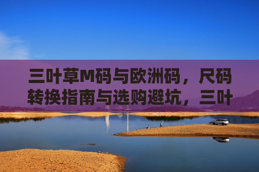 三叶草M码与欧洲码,尺码转换指南与选购避坑,三叶草M码与欧洲码尺码转换指南及选购避坑 三叶草M码与欧洲码,尺码转换指南与选购避坑,三叶草M码与欧洲码尺码转换指南及选购避坑