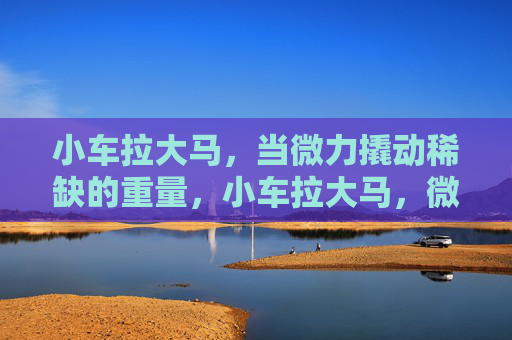 小车拉大马,当微力撬动稀缺的重量,小车拉大马,微力撬动稀缺重量 小车拉大马,当微力撬动稀缺的重量,小车拉大马,微力撬动稀缺重量