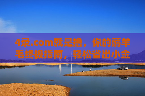 4录.com就是撸,你的薅羊毛终极指南,轻松省出小金库!4录.com,薅羊毛终极指南,轻松省出小金库 4录.com就是撸,你的薅羊毛终极指南,轻松省出小金库!4录.com,薅羊毛终极指南,轻松省出小金库