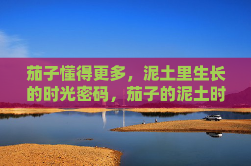 茄子懂得更多,泥土里生长的时光密码,茄子的泥土时光密码 茄子懂得更多,泥土里生长的时光密码,茄子的泥土时光密码