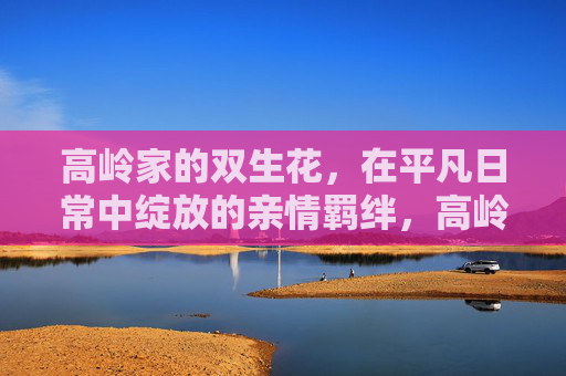 高岭家的双生花,在平凡日常中绽放的亲情羁绊,高岭家双生花,平凡日常中的亲情羁绊 高岭家的双生花,在平凡日常中绽放的亲情羁绊,高岭家双生花,平凡日常中的亲情羁绊