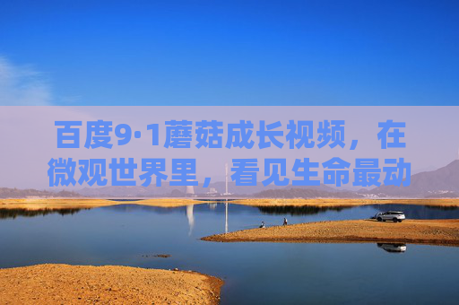 百度9·1蘑菇成长视频,在微观世界里,看见生命最动人的向上之力,百度9·1蘑菇成长视频,微观视界里的生命向上之力 百度9·1蘑菇成长视频,在微观世界里,看见生命最动人的向上之力,百度9·1蘑菇成长视频,微观视界里的生命向上之力