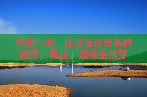 在来一次,让遗憾长出新的枝芽,再起,遗憾生新芽 在来一次,让遗憾长出新的枝芽,再起,遗憾生新芽