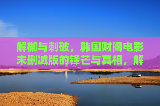 解枷与刺破，韩国财阀电影未删减版的锋芒与真相，解枷刺破，未删减版韩国财阀电影的锋芒与真相