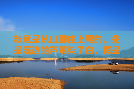 秋意是从山脚往上爬的。先是溪边的芦苇染了白，再是坡上的野菊绽了黄，等漫山遍野的枫叶红透时，山腰那座古寺的檐角，便也悬满了风铃，秋意漫山，古寺风铃
