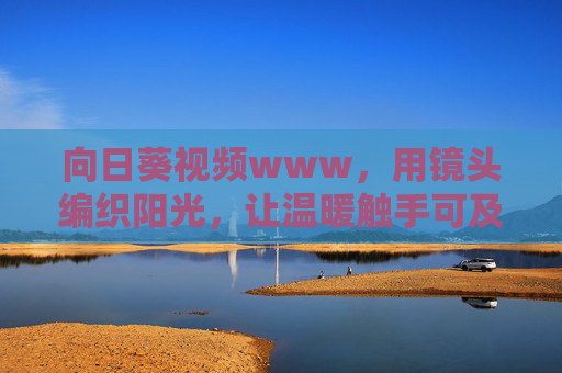 向日葵视频www，用镜头编织阳光，让温暖触手可及，向日葵视频，用镜头编织阳光，温暖触手可及