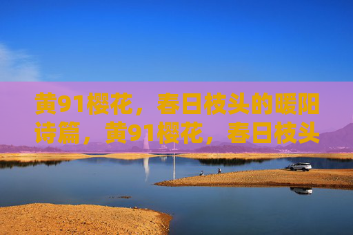 黄91樱花，春日枝头的暖阳诗篇，黄91樱花，春日枝头的暖阳诗篇