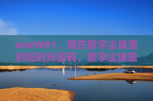wwW91，藏在数字尘埃里的旧时光密码，数字尘埃里的旧时光密码