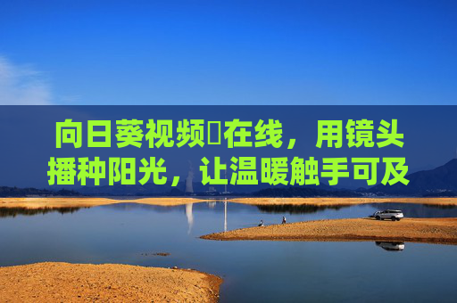 向日葵视频卍在线，用镜头播种阳光，让温暖触手可及，向日葵视频，镜头种暖阳，温暖触手可及