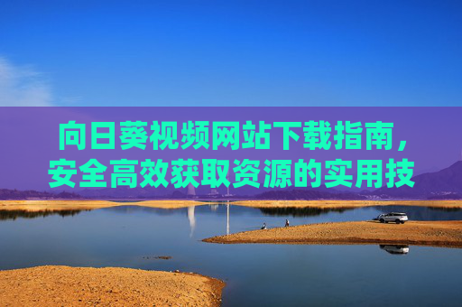 向日葵视频网站下载指南，安全高效获取资源的实用技巧，向日葵视频网站安全高效下载指南