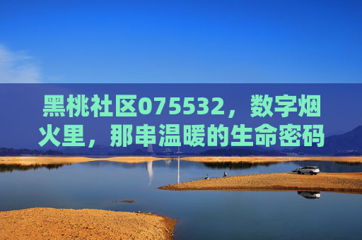 黑桃社区075532，数字烟火里，那串温暖的生命密码，黑桃社区075532，数字烟火里的温暖生命密码