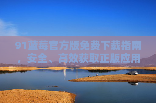 91蓝莓官方版免费下载指南，安全、高效获取正版应用的可靠途径，91蓝莓官方版免费下载指南，安全高效获取正版应用