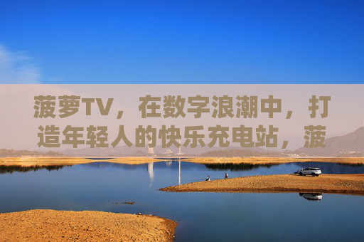 菠萝TV，在数字浪潮中，打造年轻人的快乐充电站，菠萝TV，数字浪潮中年轻人的快乐充电站