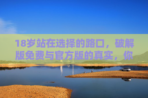 18岁站在选择的路口，破解版免费与官方版的真实，你选对了吗？18岁选择的路口，破解版免费与官方版真实，你选对了吗？