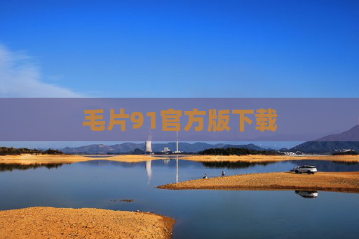 毛片91官方版下载