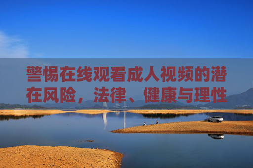 警惕在线观看成人视频的潜在风险,法律、健康与理性的边界,在线观看成人视频的法律、健康与理性风险警示 警惕在线观看成人视频的潜在风险,法律、健康与理性的边界,在线观看成人视频的法律、健康与理性风险警示